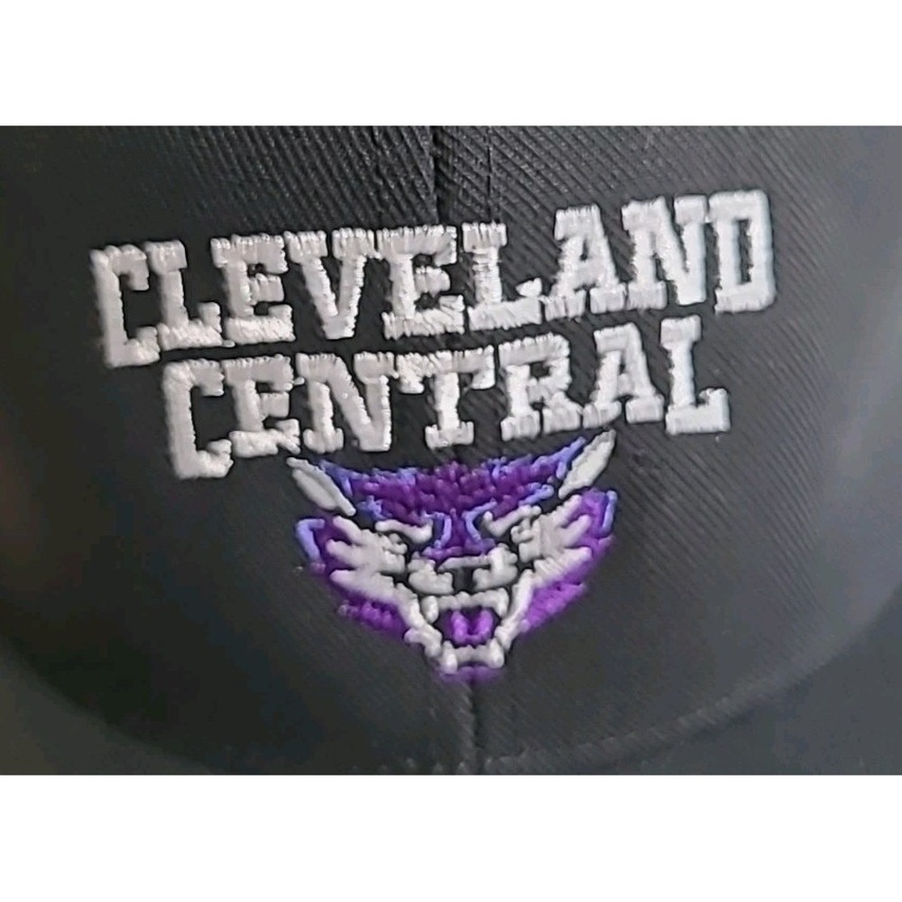 Cleveland‎ Central Baseball Cap  Snapback Purple/White Wolf Embroidered
